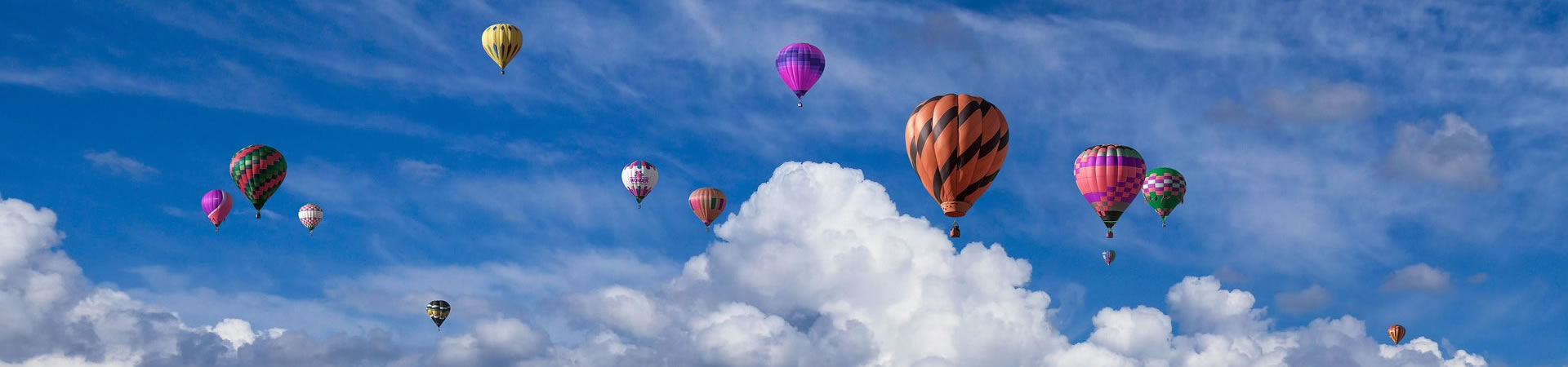 尊龙耍大牌?介绍